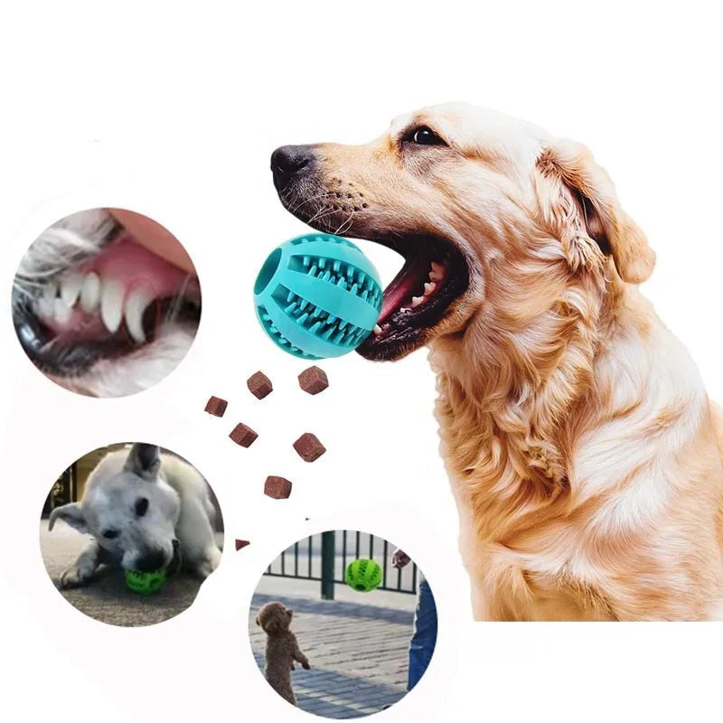 Brinquedo Estimulante Para Cães Link Maganize
